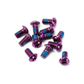 Miles Wide Disc Rotor Bolts - ReEvolution